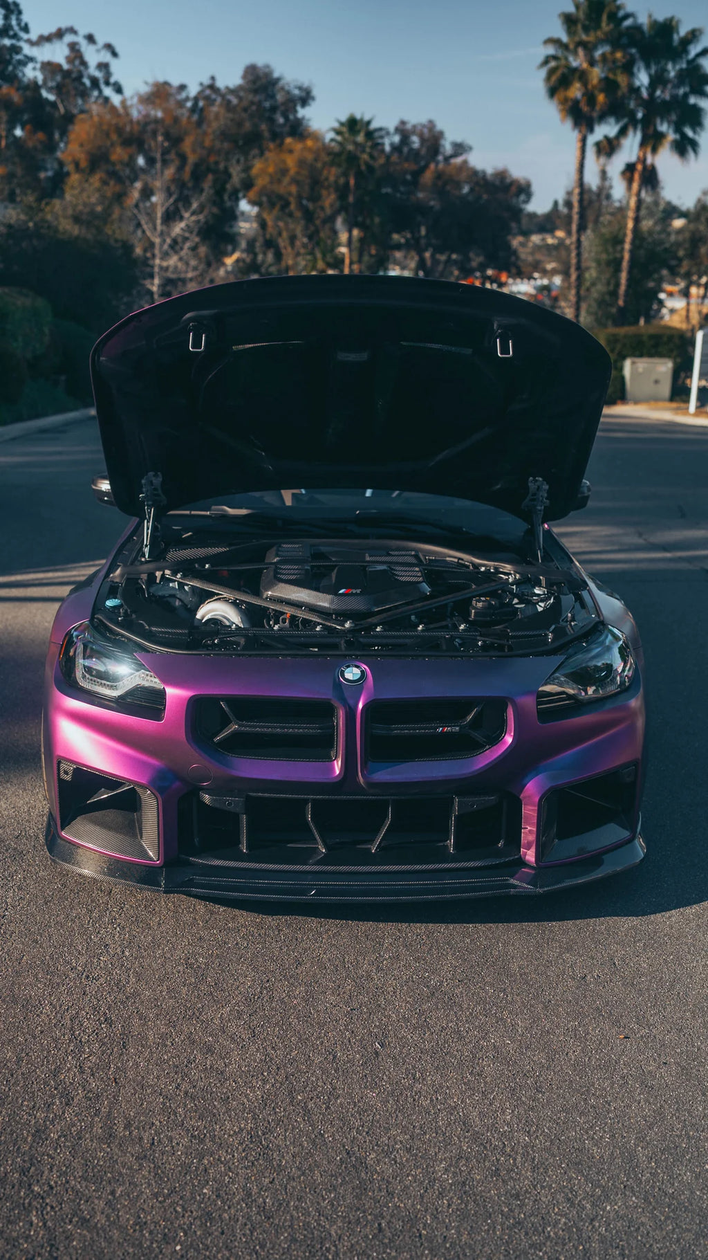 CSL STYLE CARBON FIBER FRONT GRILLE – BMW G87 M2