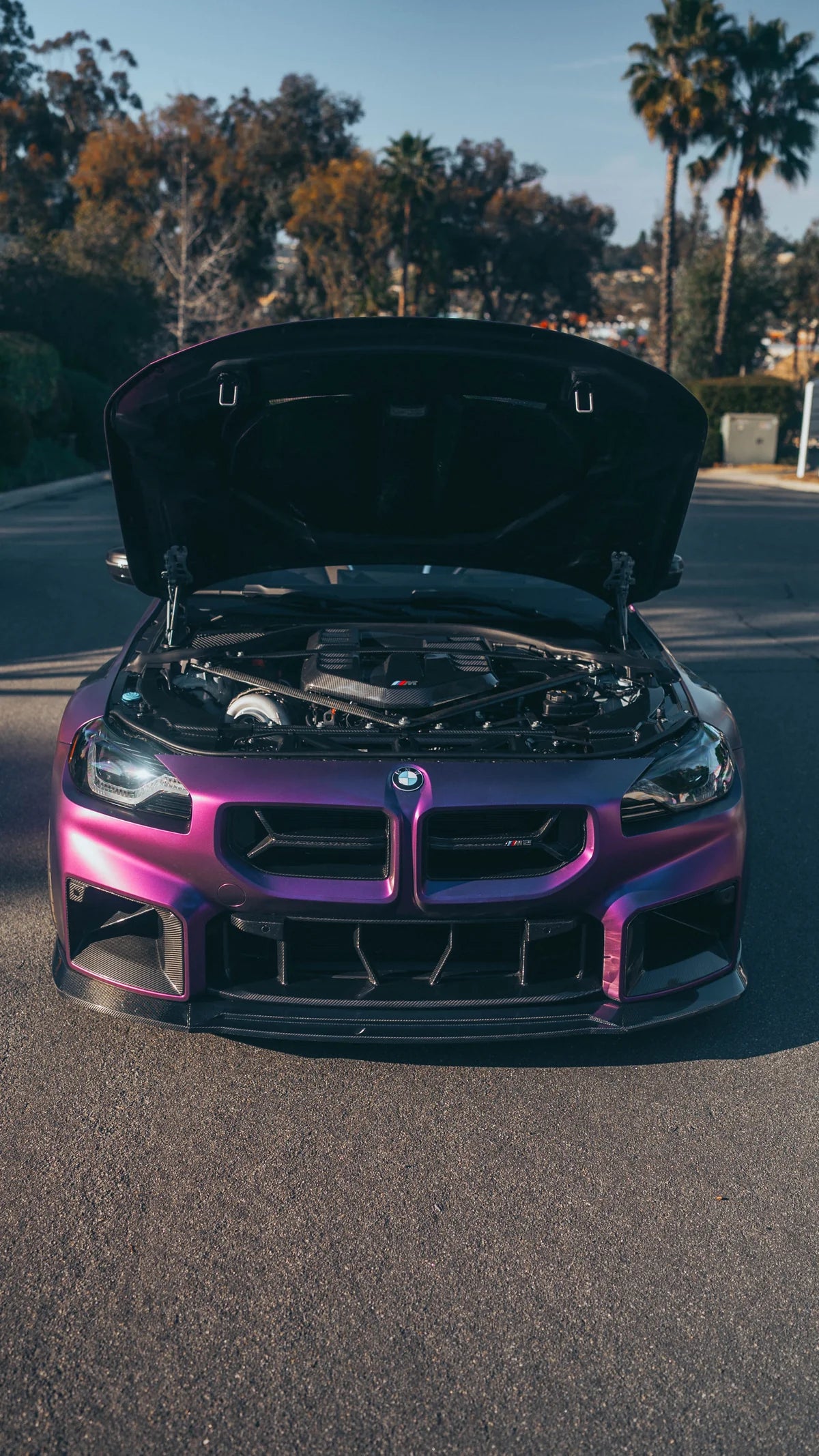CSL STYLE CARBON FIBER FRONT GRILLE – BMW G87 M2